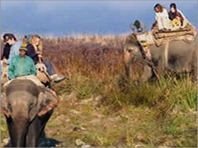 Special Tour Packages