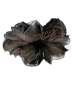Hair Extensiona