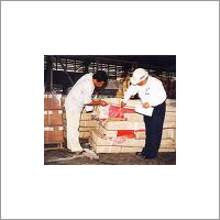 Custom Clearing of Air Cargo