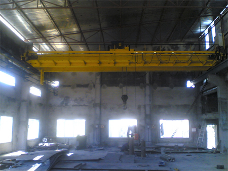 Crane Assembly With Panel
