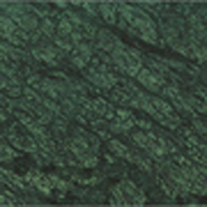 Forest Light Green Marble