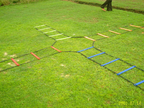 Flat Agility Ladders