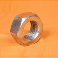 SS Hex Nuts