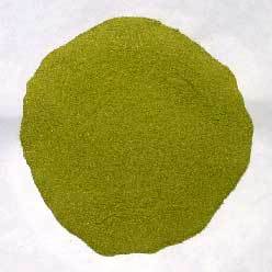 Dried Dehydrated Green Chilli Powder