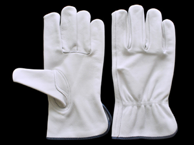 Winter Gloves