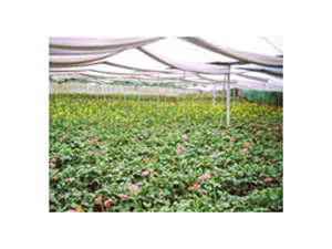 Gardening Shade Net