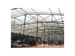 Shade Net for Green House