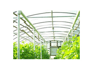 Green Agro Shade Net - Polyethylene, Custom Size, Green | UV Resistant, Durable, Lightweight, Temperature Control, Crop Protection