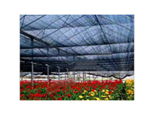 Garden Shade Net