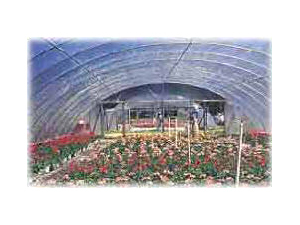 Nursery Shade Net