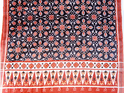 Cotton Chhabadi Bhat Patola Sarees