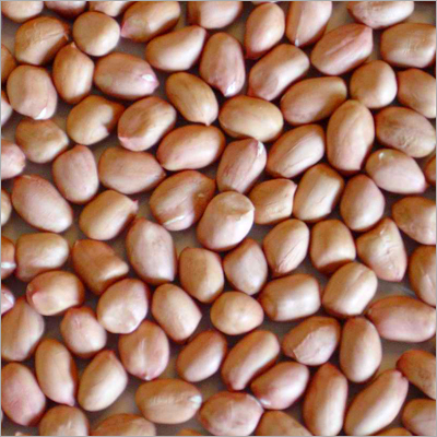 Groundnut