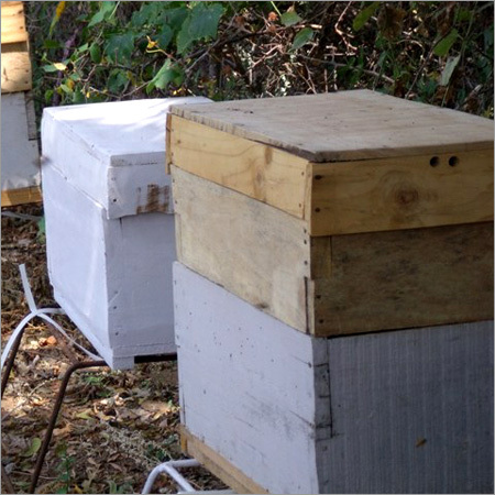 Honey Boxes
