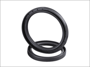 Oil Fill Seal