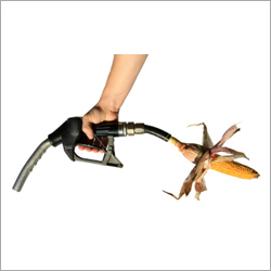 Biodiesel