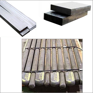 Stainless Steel Forged products