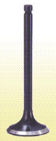 Motorcycle engine valve