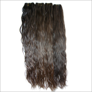 Brazilian Human Hair Wig