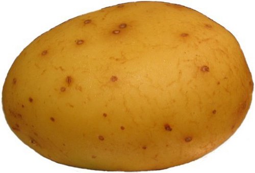 Potato 