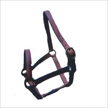 Design Horse Halter