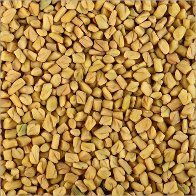 Fenugreek