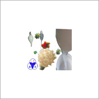Silicone Gel