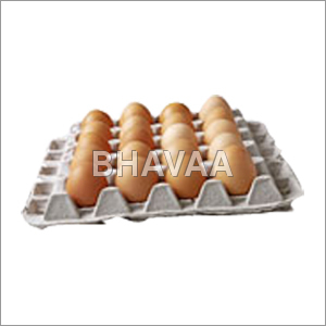 Moulded Pulp Egg Tray
