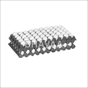 Big Egg Trays
