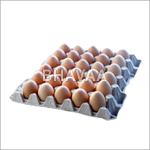 Egg Trays