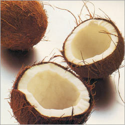 Coconut