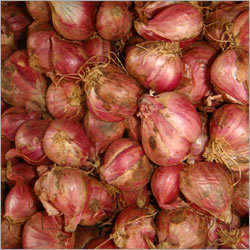 Dehydrated Onions