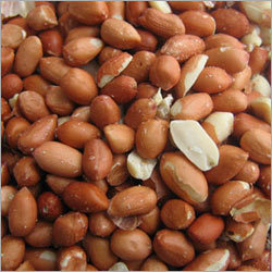 Ground Nut Seed