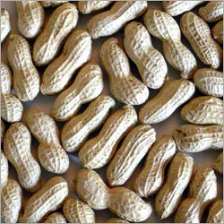 Ground Nuts