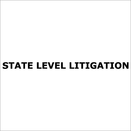 State Level Litigation