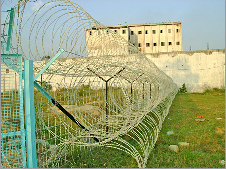 Barbed Tape Coils