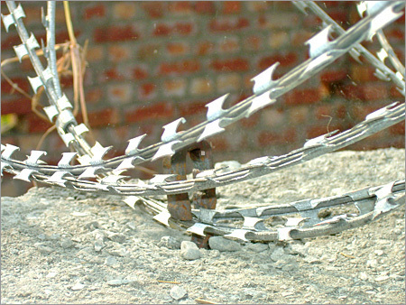 Concertina Coils