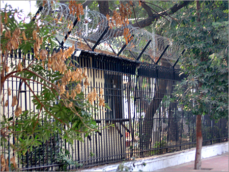 Concertina Wire