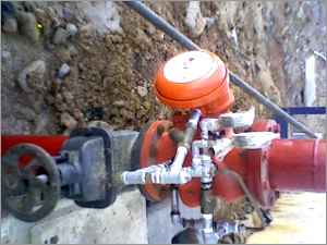 Alarm System