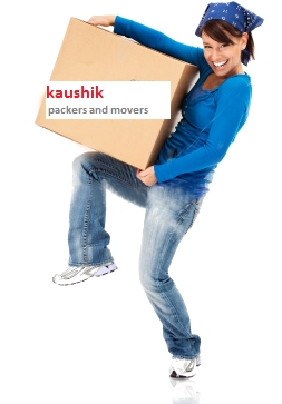 Daily Parcel Services