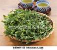 Premium Green Tea