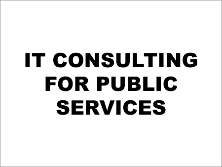 IT Consulting for Public Services