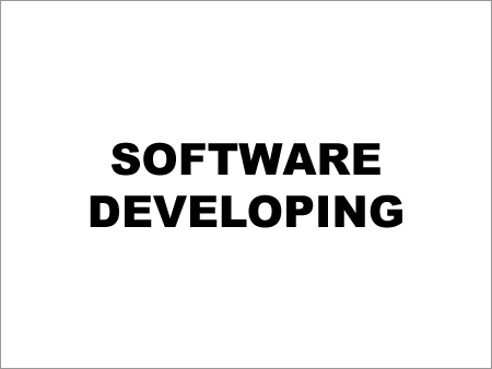 Software Developing