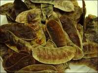 Senna Leaves