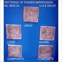 Finger Prints Model