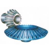 Bevel Gear