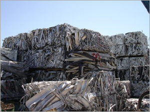 Taint Tabor Scraps