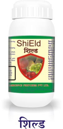 Shield