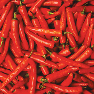 Red Chillies