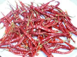 Dry Chillies