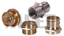 Brass Adaptors
